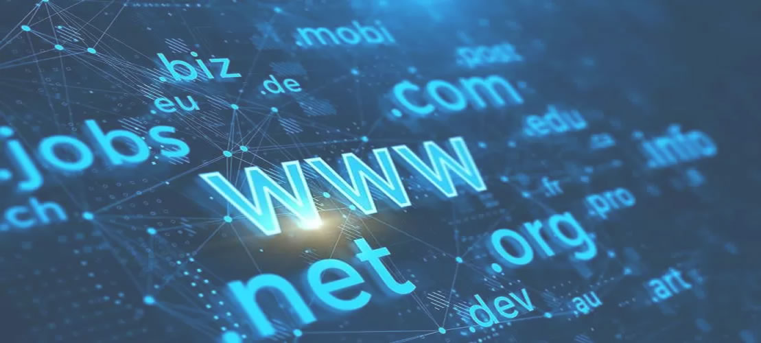 Domain registration service